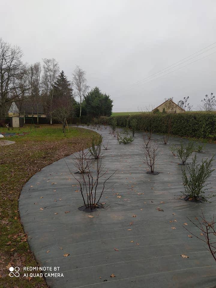 aménagement jardin