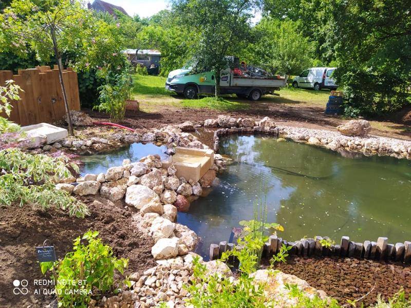 bassin jardin