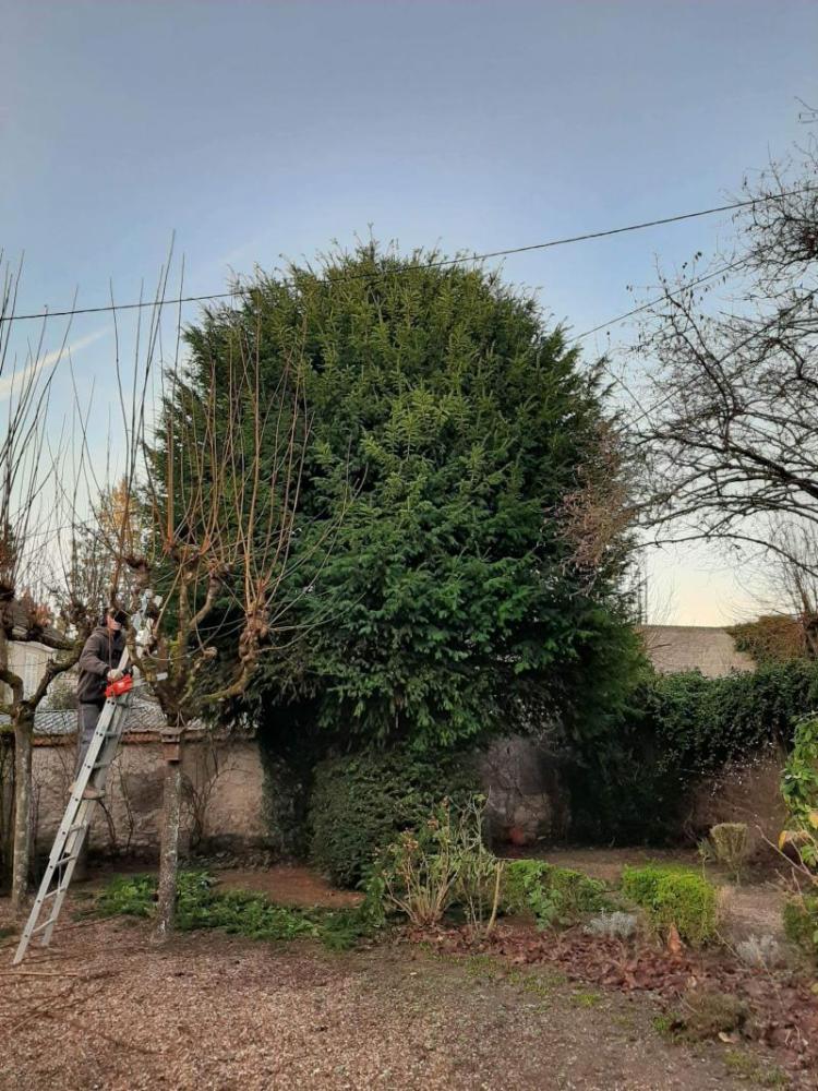 lagage jardin